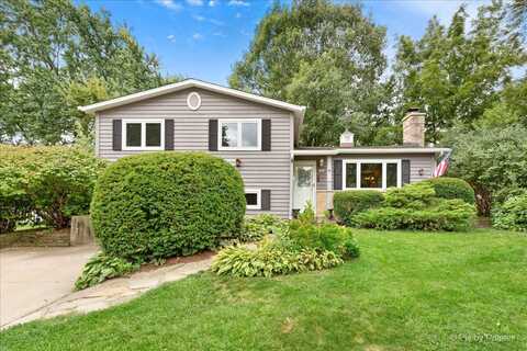 669 Terry Road, Glendale Heights, IL 60139