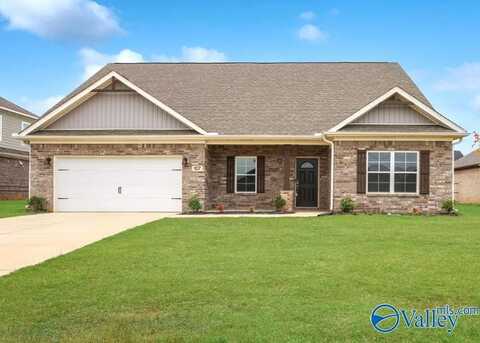 107 Fig Tree Road, Meridianville, AL 35759