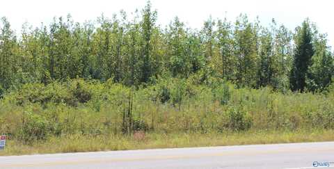 1.0 Acre Alabama Highway 71, Dutton, AL 35744