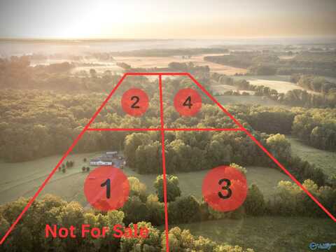 Tract 4 County Road 503, Anderson, AL 35610