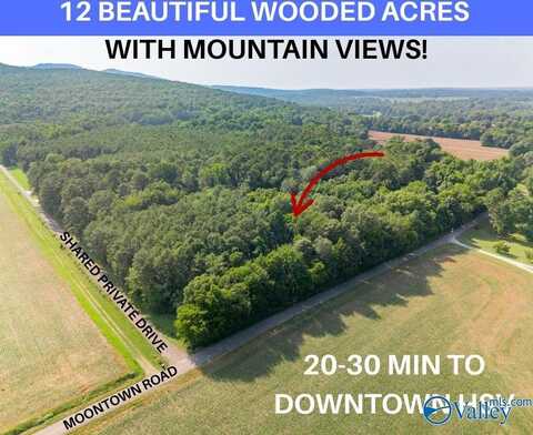 Ppin#507136 Moontown Road, Brownsboro, AL 35741