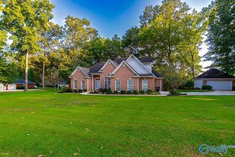 446 Forest Home Drive, Trinity, AL 35673