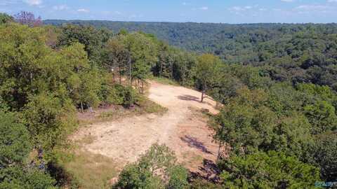 4.63 Acres Lee Street, Guntersville, AL 35976