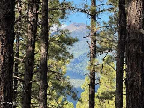 9285 Coyote Pass, Flagstaff, AZ 86001