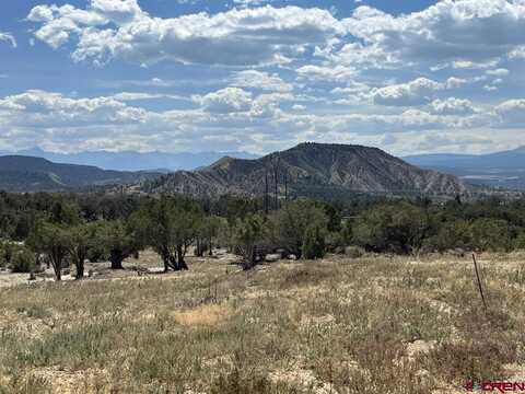 TBD Buckhorn Road, Montrose, CO 81403