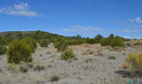 Lot 5 Nm 36 Highway, Fence Lake, NM 87315