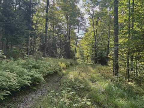 00 Baird Road, Newark, VT 05871
