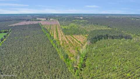 172 Acres Ten Mile Fork Road, Trenton, NC 28585