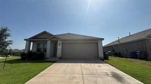 331 Buckeye Avenue, Princeton, TX 75407
