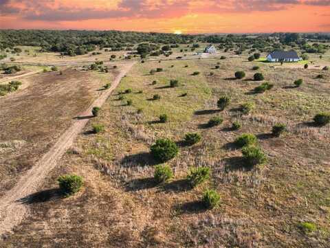 157 Gilmore Court, Lipan, TX 76462