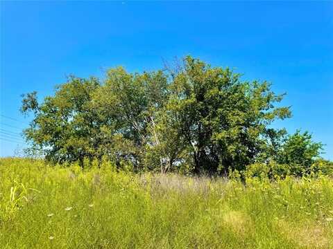 Lot 9 CR-590, Nevada, TX 75173