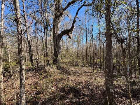 001 Brushy Hammock, Mayo, FL 32066