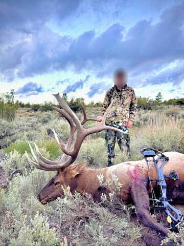 TBD Atchee Ridge Road, Rangely, CO 81648