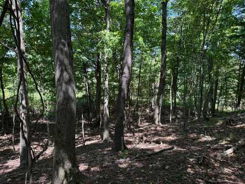 00 Black Walnut Road, Commodore, PA 15729