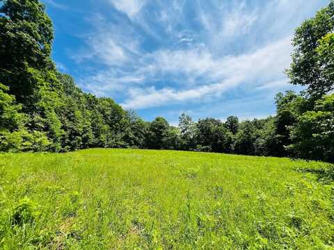 000 Skillman Monarch Lane, Hardinsburg, KY 40143