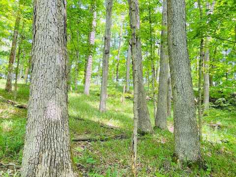 000 Skillman Monarch Lane, Hardinsburg, KY 40143