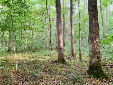000 Skillman Monarch Lane, Hardinsburg, KY 40143