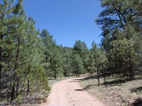 FR 473 Durfee Canyon, Magdalena, NM 87825