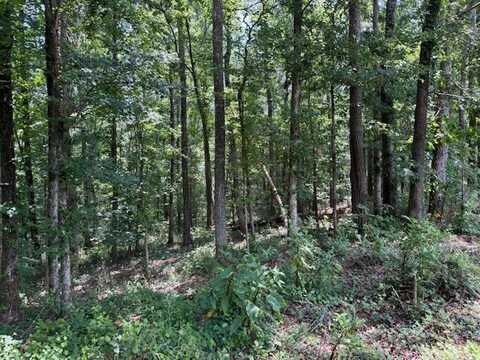 0 County Road 57, Fort Payne, AL 35967