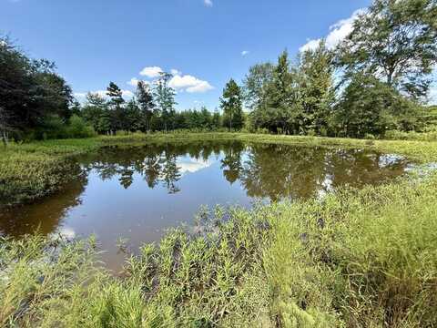 0 Dummy Line Road, Thomasville, AL 36784