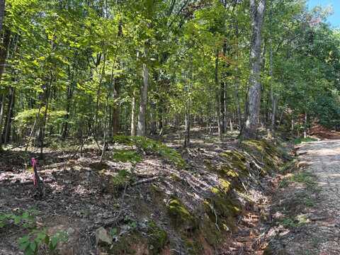 0 Byrd Dr., Owens Cross Roads, AL 35763