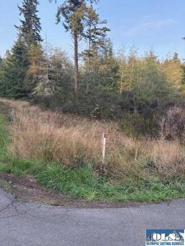 52 Moonkist Terrace, sequim, WA 98382
