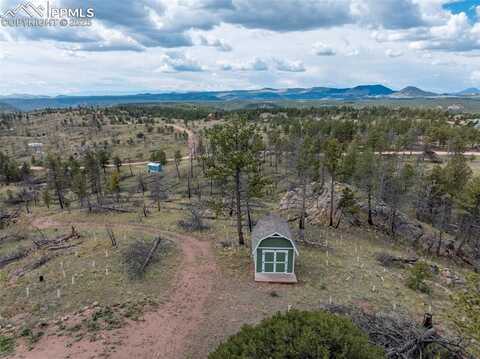 224 Chapparal Trail, Florissant, CO 80816