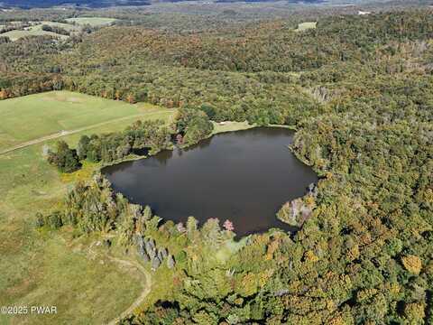Lot 4 Skinny Dip Lane, Pleasant Mount, PA 18453