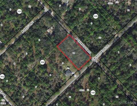 9344 N Evenstock Way, Crystal River, FL 34428