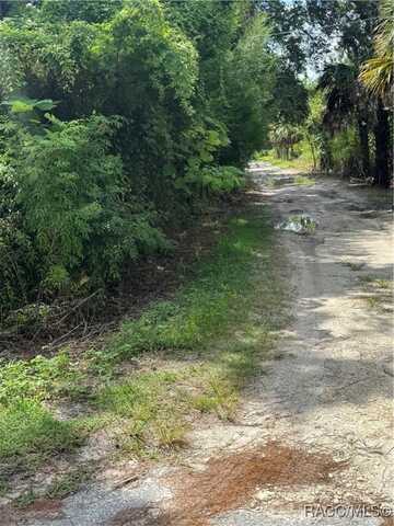 2963 N Oakland Terrace, Crystal River, FL 34428
