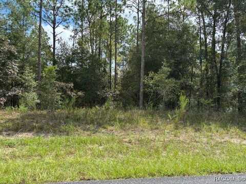 8001 N Galena Avenue, Citrus Springs, FL 34434