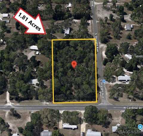 6805 S Straight Avenue, Homosassa, FL 34446