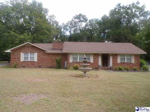 303 E Richardson Cir, Hartsville, SC 29550