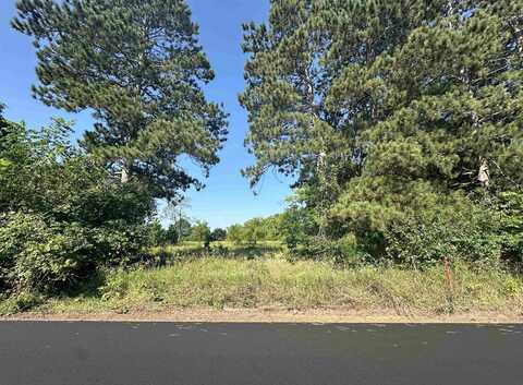 710 ROBERTS Road, WILD ROSE, WI 54984