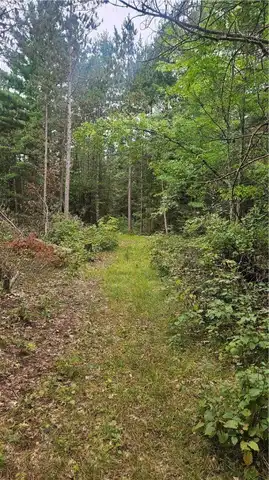 Hazelnut Lane lot: 1, Hayward, WI 54843