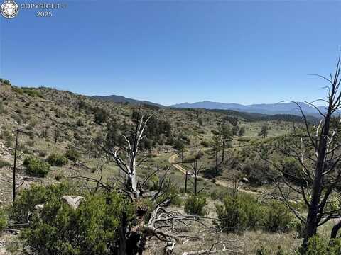Tbd County Road 18X, Cotopaxi, CO 81223