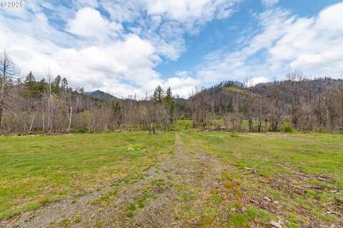 91747 BLUE RIVER RESERVOIR RD, Blue River, OR 97413
