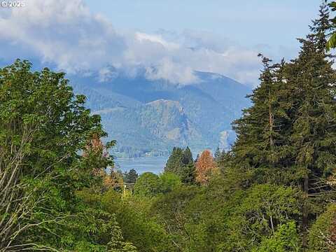 365 RIO VISTA DR, White Salmon, WA 98672