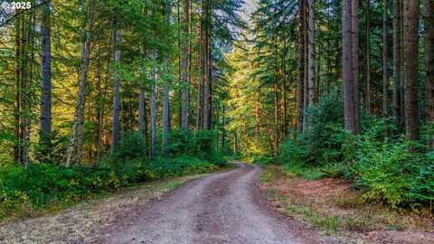 0000 NW 389th, Woodland, WA 98674