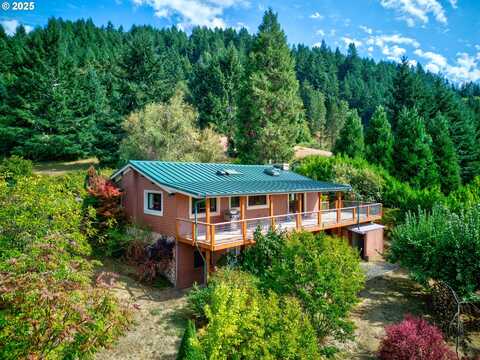 890 VINTAGE DR, Elkton, OR 97436