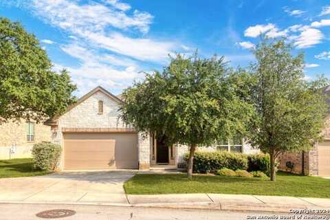 8306 hydrangea, Boerne, TX 78015