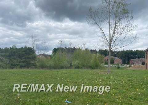 V/L Rivershyre, Davison, MI 48423
