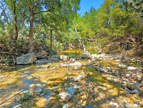 Tbd-196.5 Acres FM 116 Road, Gatesville, TX 76528