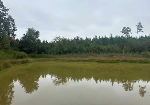 1918 Plantersville Road, Drakes Branch, VA 23937