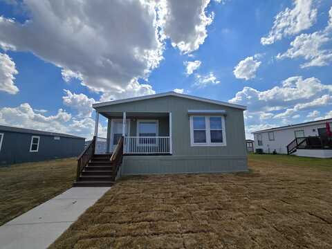 118 Cactus Wren Drive, Kyle, TX 78640