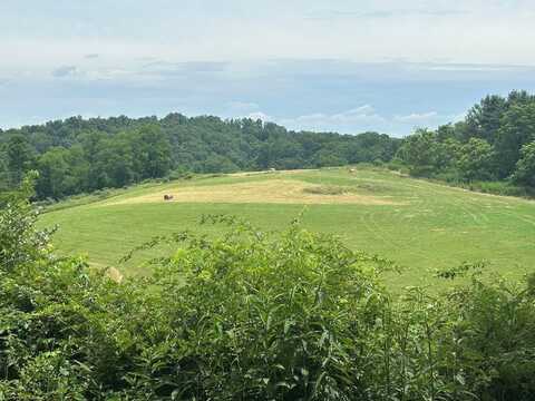 29.31 Ac Ridge Top Drive, Rural Retreat, VA 24368