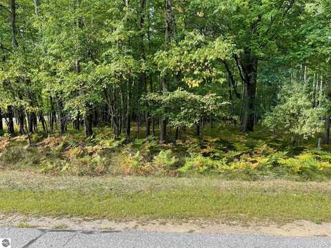 2001 Duquesa Court, Weidman, MI 48893