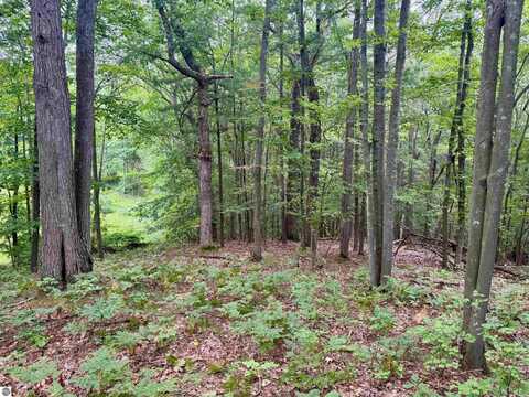 35 Brook Hill Cottages, Glen Arbor, MI 49636
