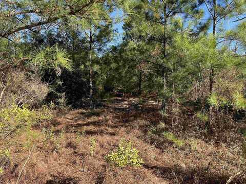 FAIRVIEW Road, Marianna, FL 32448