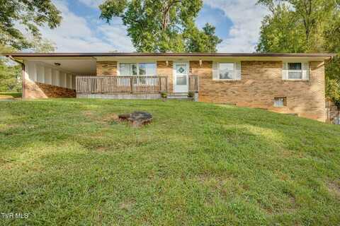 427 Mimosa Street, Mount Carmel, TN 37645